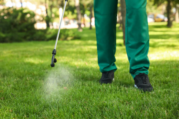 Best Residential Pest Control  in Missouri Valley, IA