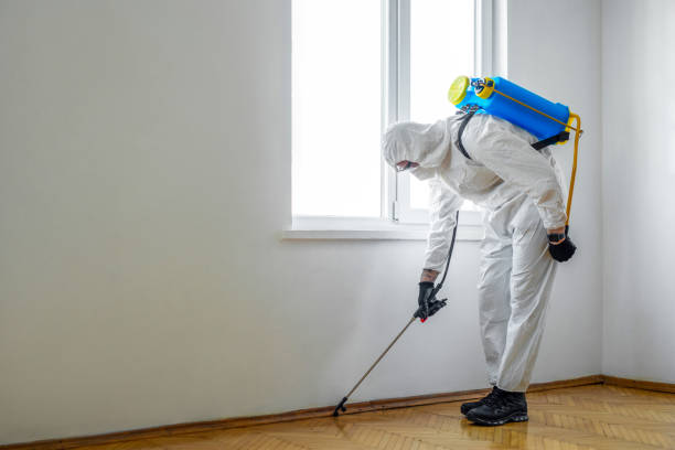 Best Emergency Pest Control  in Missouri Valley, IA