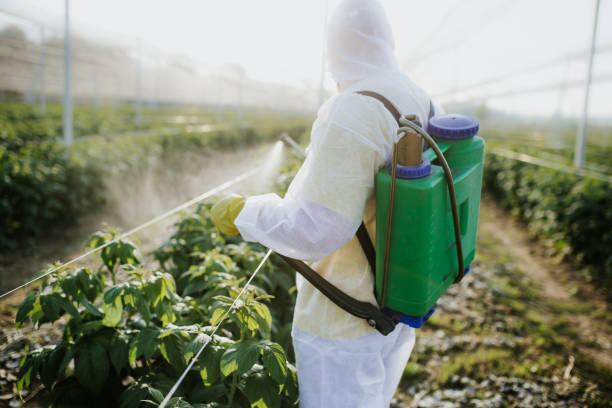 Best Wildlife Control Services  in Missouri Valley, IA